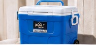 Igloo Coolers